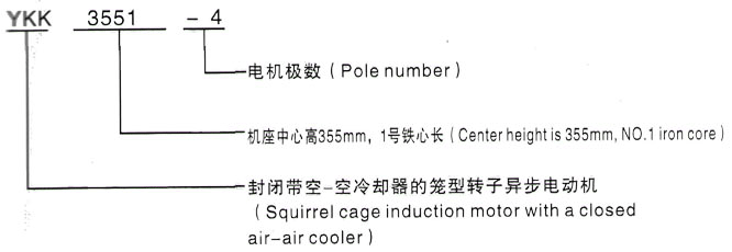 YKK系列(H355-1000)高压Y5007-10/500KW三相异步电机西安泰富西玛电机型号说明